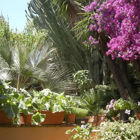 Via Dei Gerani Bed & Breakfast Solanas (Cagliari)