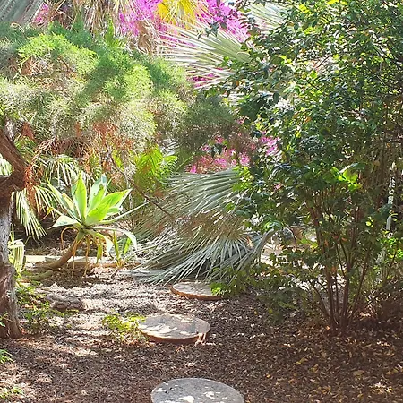 Bed & Breakfast Via Dei Gerani 3*