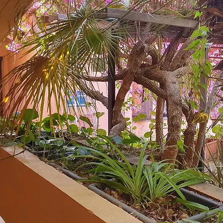 Via Dei Gerani Solanas (Cagliari)