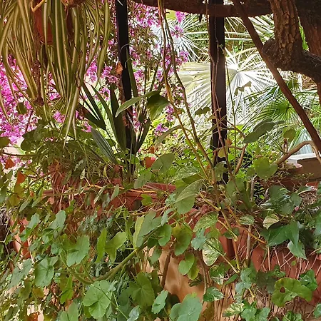 Via Dei Gerani Panzió Solanas