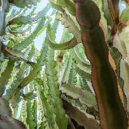 Panzió Via Dei Gerani Solanas