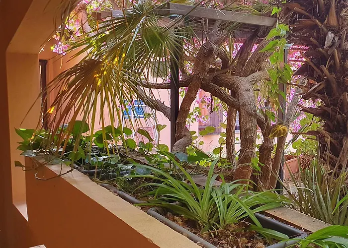 Via Dei Gerani Solanas (Cagliari)